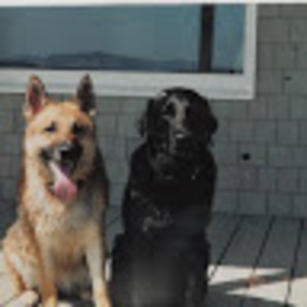 Meet your Posher, Krista